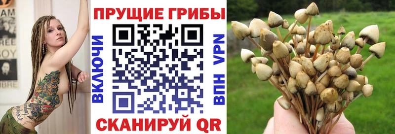 Псилоцибиновые грибы MAGIC MUSHROOMS  Купить  Лиски 